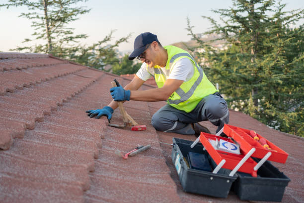 Best Storm Damage Roof Repair  in Mayfield, KY